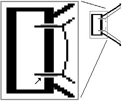 graphic